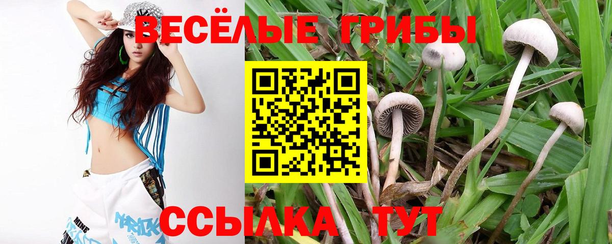 Галлюциногенные грибы MAGIC MUSHROOMS  закладка  Туймазы  Вход с VPN 