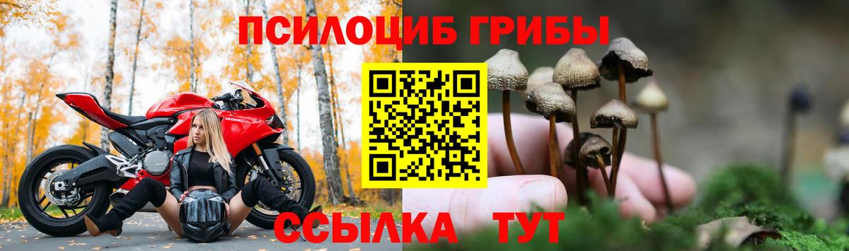 Псилоцибиновые грибы мицелий Туймазы
